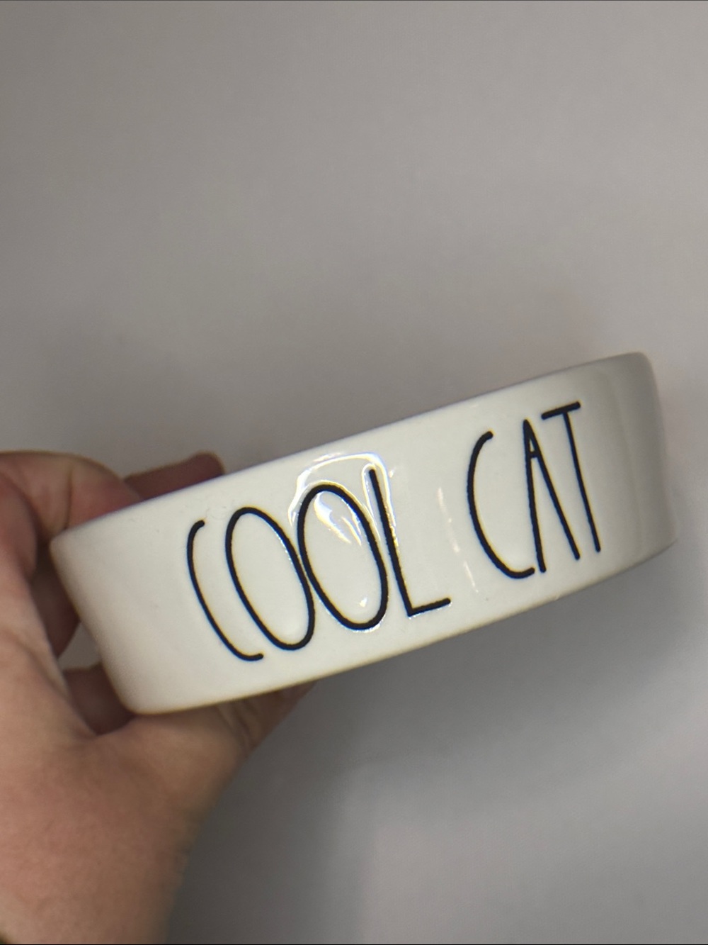 never use cool cat rae dunn cat dish bowl